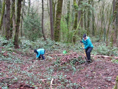 Hardworking Friends of Springbrook Park Hardworking Friends of Springbrook Park